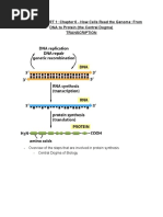 Transcription Notes