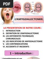 Anatomie de la Sphère ORL | PDF | Oreille | Système vestibulaire