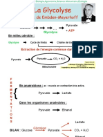 Biochimie microbienne_3.Glycolyse.pdf