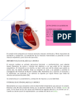 Repaso Fisio TOTI PDF