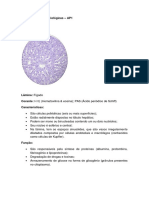 Lâminas de Bases Biológicas I - AP1