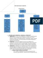 Mapa Conceptual Del Cuerpo Humano