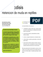 Disecdisis.pdf