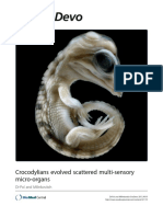 Crocodylians Evolved Scattered Multi-Sensory Micro-Organs PDF