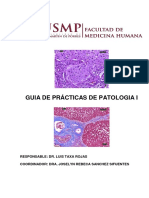 GUIA DE PRACTICA -PATOLOGIA 2020 -II-No presencial
