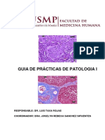 GUIA DE PRACTICA - PATOLOGIA 2020 - II-No Presencial