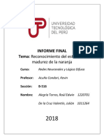 Informe Final RNLD