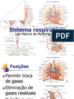 Material_anatomia_-_respiratório.pdf
