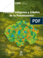 Panamazonia2019.pdf