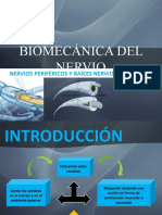 Biomecnicadelnervio
