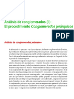 22conglomerados PDF