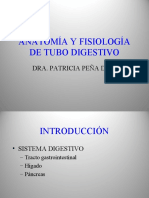 Anatomia y Fisiologia Del Tubo Digestivo