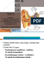 refrat anatomi telinga