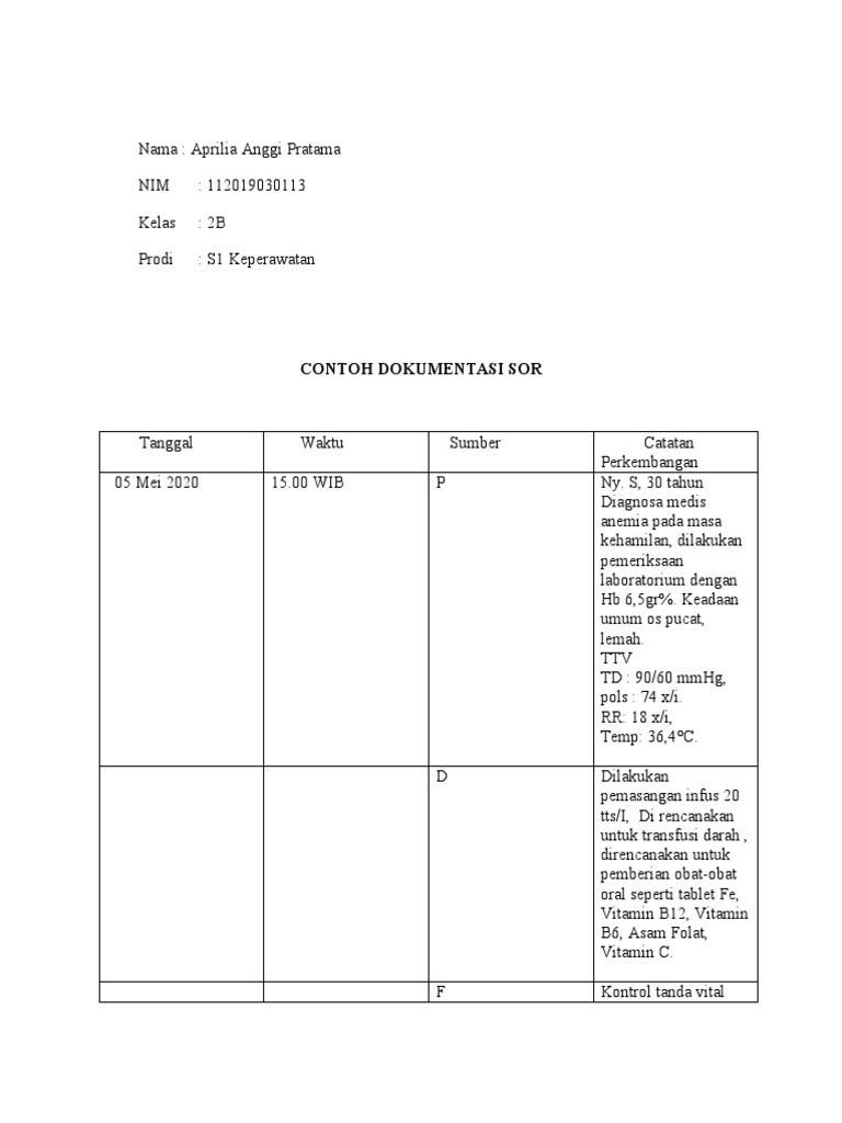Contoh Dokumentasi Sor | PDF