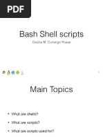 bashScripts.pdf