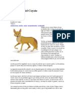 La Lección Del Coyote