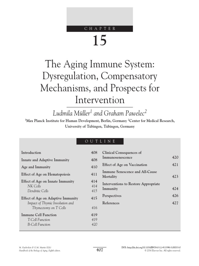 Chapter 15 - The Aging Immune System Dysregulation, Compensatory ...