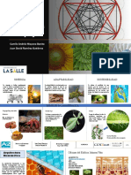 Proceso en Estructuras Complejassisarras