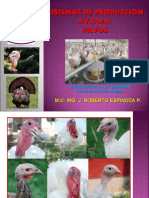 SISTEMAS_DE_PRODUCCION_AVICOLA_-_PAVOS.ppt