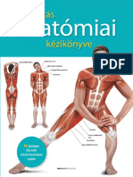 Prof. dr. Ken Ashwell: A nyújtás anatómiai kézikönyve - 50 gazdagon illusztrált erősítő-tónusfokozó nyújtás