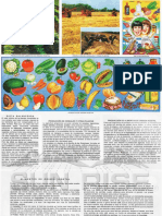 Alimentos de Origen Vegetal PDF