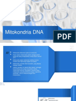 Mitokondria DNA PDF