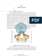 Bab Ii PDF