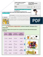 Guia Funciones Oxigenadas Organicas PDF