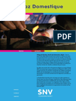 SNV Biogaz Domestique PDF