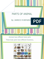 Parts of Animal: By: Janrico M.Refuerzo