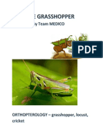 THE GRASSHOPPERclass