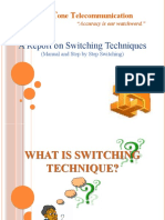 A Report On Switching Techniques: Ouch One Elecommunication