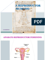 powerpoint ciencias 6 basico.pdf