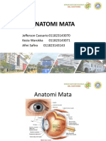 Anatomi Mata