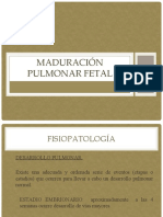 Maduración Pulmonar Fetal