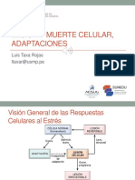 Teoria 1.pdf