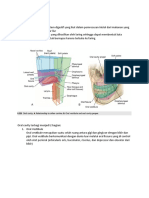 Mengkaji Oral Cavity