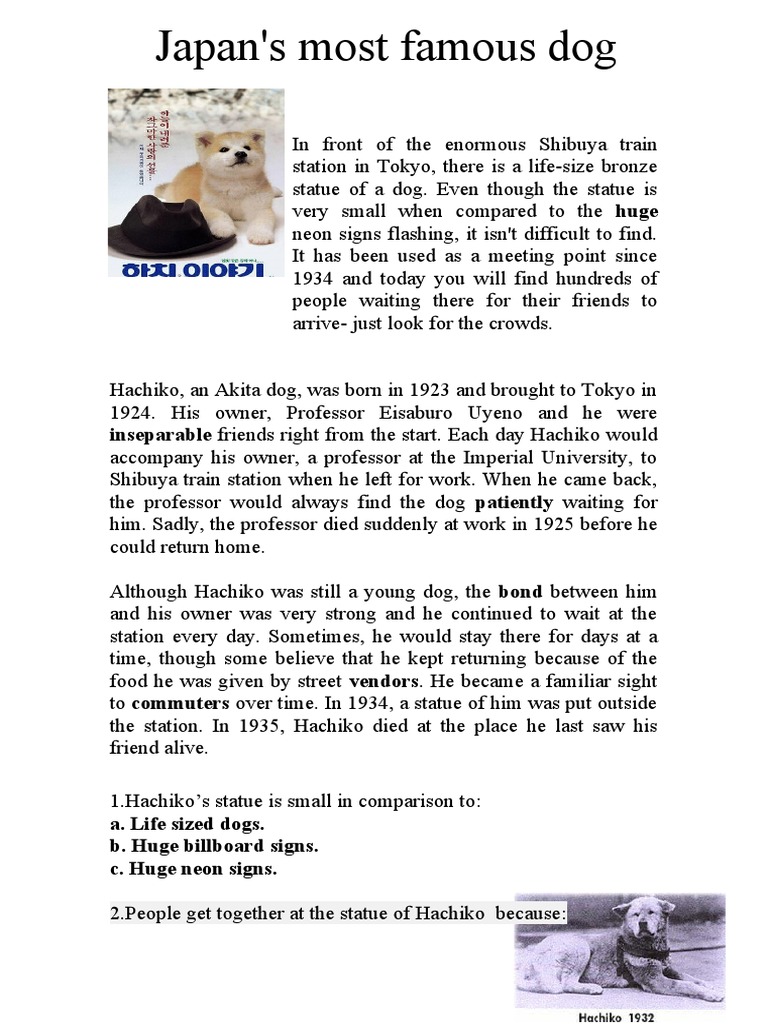 Japan's Most Famous Dog Inseparable Friends Right From The Start. Each