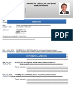 Curriculum Vitae Secciones.doc