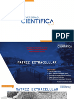 2 MATRIZ EXTRACELULAR2020 (1).pdf