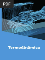 Termodinamica PDF