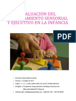 Prog Curso Evaluacion Procesamiento Sensorial y Ejecutivo Infancia