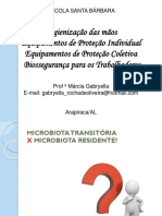 AULA 2 - EPI'S E EPC'S Radiologia PDF