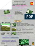 Chaya-Farmacologia Lab1-A G6