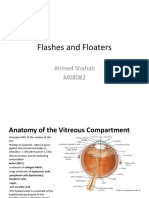 Flashes and Floaters: Ahmed Shahab M08082