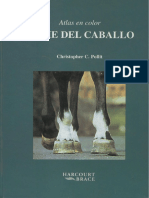 Atlas en Color El Pie Del Caballo - Christopher C.Pollit (SPG) PDF