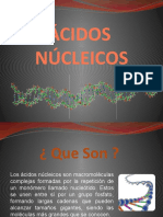 Presentacion Acidos Nucleicos