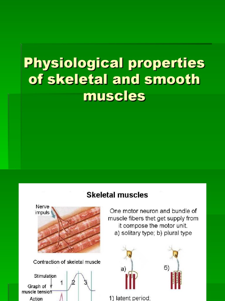 Muscle Action Potentials Explained | PDF | Myocyte | Muscle Contraction