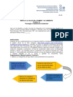 Metabolismo bacteriano: anabolismo, catabolismo y medios de cultivo