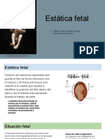 Estática Fetal